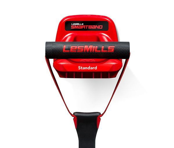 Держатель для амортизаторов Les Mills SMARTBAND LM\SBANDRCK