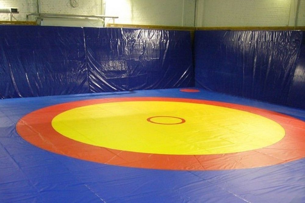 Фото Ковёр борцовский 12х12 м основа НПЭ толщина 5 см  Pioner A11573