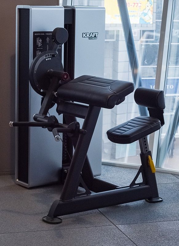 Бицепс/Трицепс сидя Kraft Fitness EXACT KFDXBT