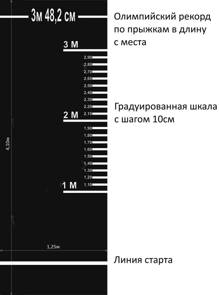 Фото Дорожка (разметка) для прыжков в длину с места, для сдачи норм ГТО  Pioner A12498