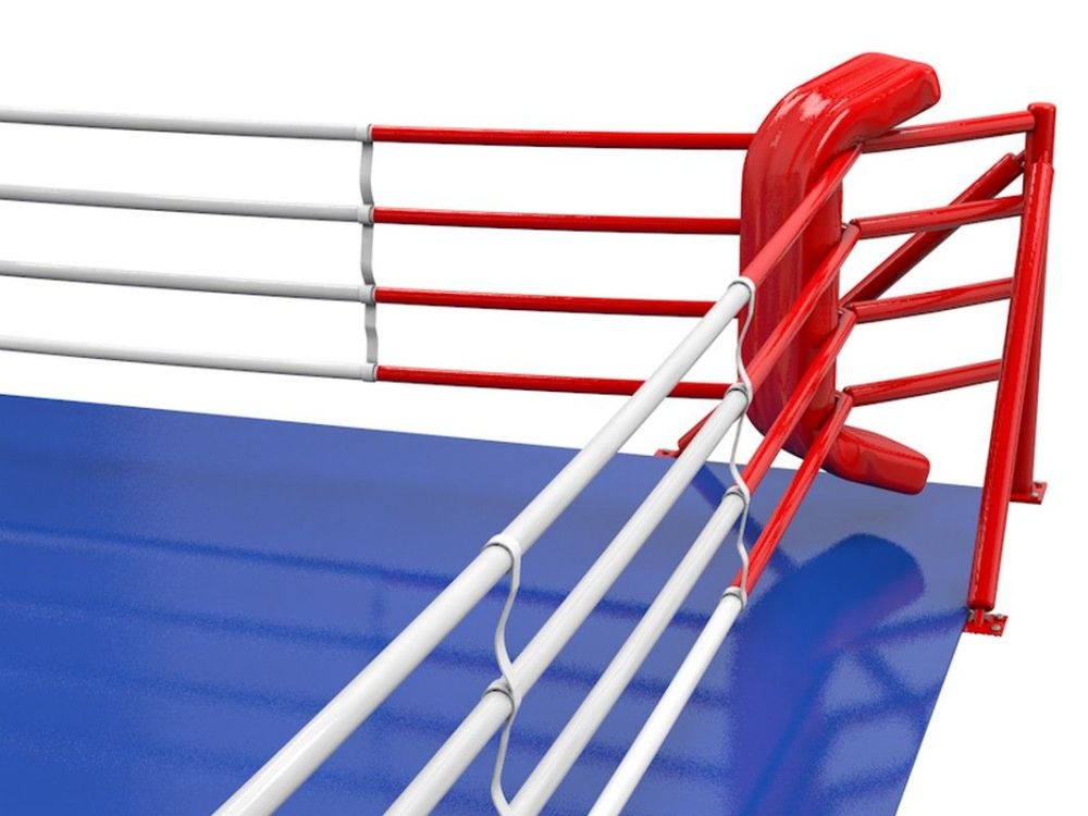 Фотографии Ринг боксерский 6х6 м на упорах, боевая зона 5х5 м  Pioner A13795