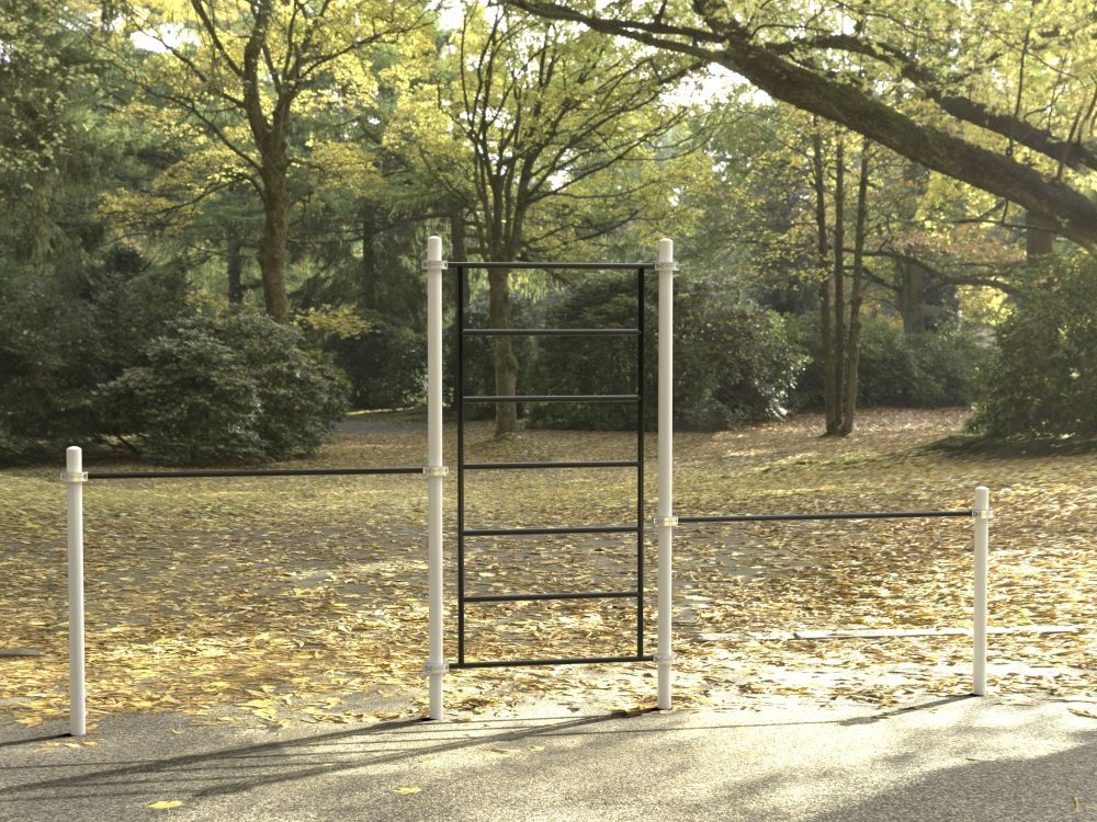 Фотографии Комплекс для занятий Воркаут Pioner A16857