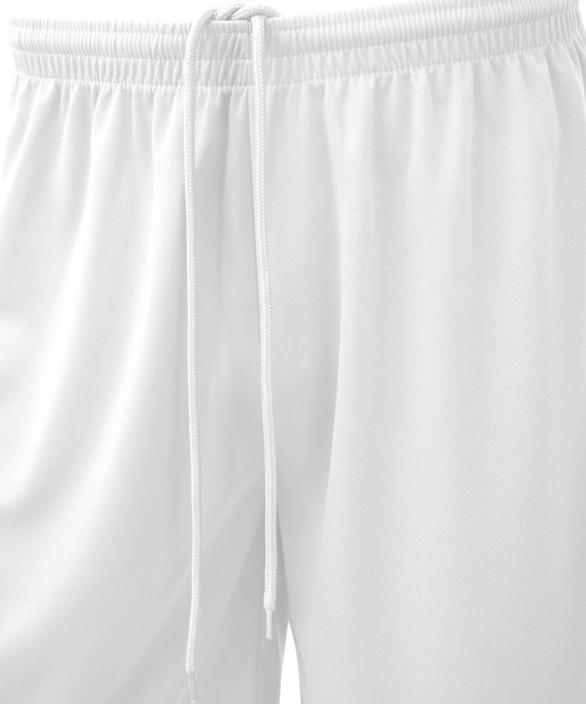 Фотографии Шорты баскетбольные Camp Basic, белый, детский