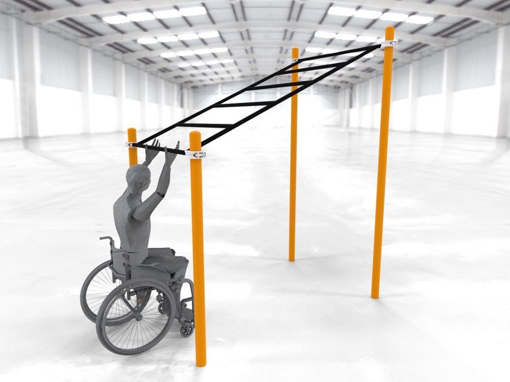 Фотографии Рукоход в подъем параворкаут  Pioner A11839