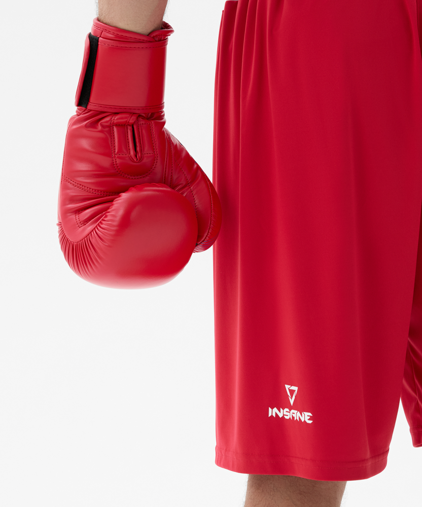 Фотографии Перчатки боксерские INSANE RBF, красный, 10 oz