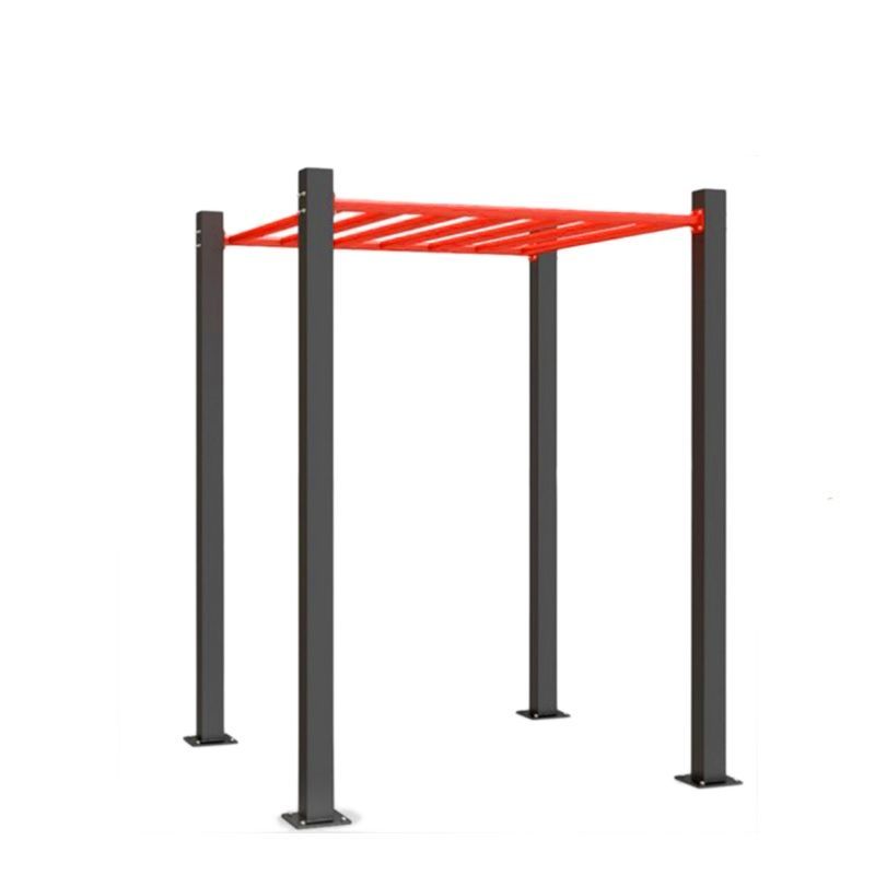 Фотографии Рукоход для воркаута  Pioner A16056